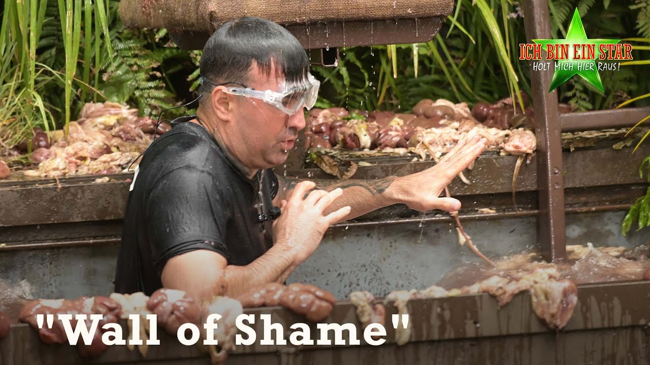 Dschungelprüfung: Wall of Shame  | #12 | Dschungelcamp 2023