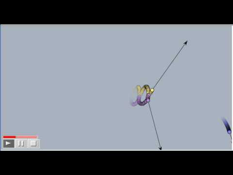 capture 1