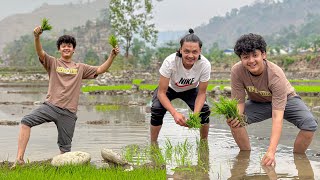 Aaj Khet Mey Ki Thodi Se Ropai 🌱😍 village Planting