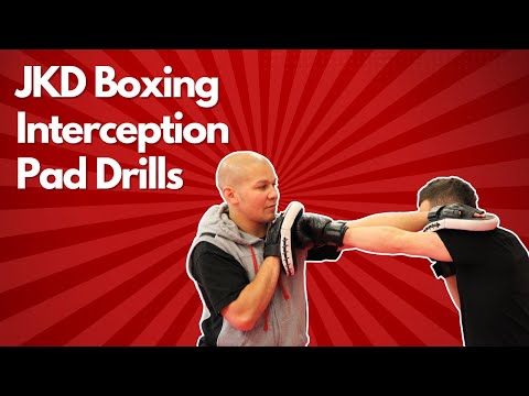 Khabib Nurmagomedov S Combat Sport History Youtube