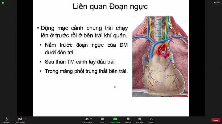 Có mấy loại mạch máu cho biết sự khác nhau của các loại mạch đó