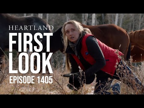 heartland-first-look:-season-14,-episode-5