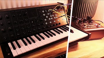 MS20 mini & Strymon El Capistan ~ a perfect match