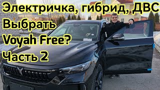 Воя Фри купить или нет? Подходит ли под мои нужды? Часть 2 Электромобиль в повседневной эксплуатации