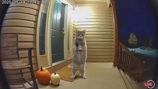 1773442091513 902A8250 74E8 4A2B 96C1 368393C41055 1