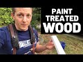 Paint Treated Wood--Tips and Tricks