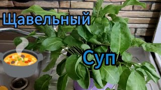 Рецепт щавелевого супа