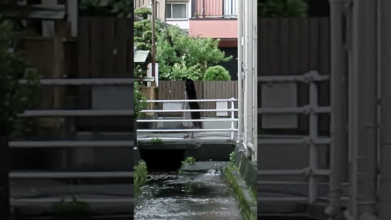 ひきこ 実写 #shorts