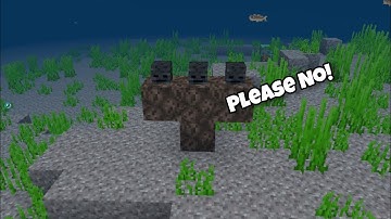 Spawning wither underwater 😁