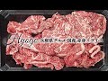 兵庫県グルメ 国産 赤身スライス / 兵庫県ふるさと納税特設サイト 兵庫県五宝美モール