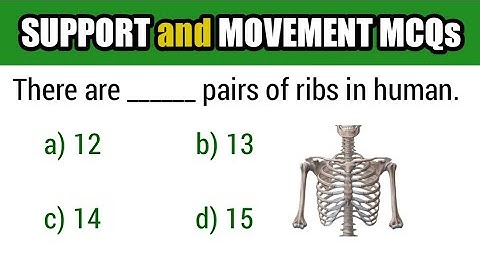 Support & movement MCQ | Class 10th biology support and movement MCQs
