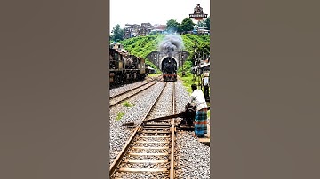 a manual track-switch operator on a branching railway line whose skill is beyond question
