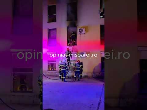O familie si pisica acesteia, salvate din flacarile care au cuprins un apartament la Timisoara