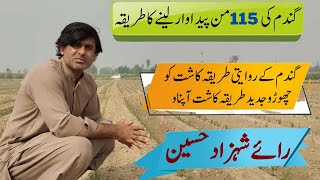 Wheat 115mond per acre production method/ modern method of wheat Cultivation/ screenshot 5