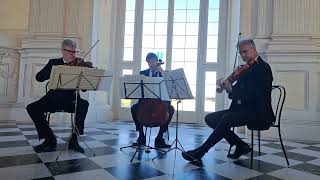 Franz Schubert - Trio in un movimento