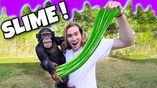 MAKING SLIME WITH A CHIMPANZEE ! EDIBLE SLIME
