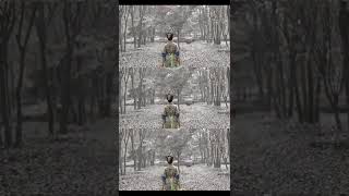 舞 昭君出塞Dance
