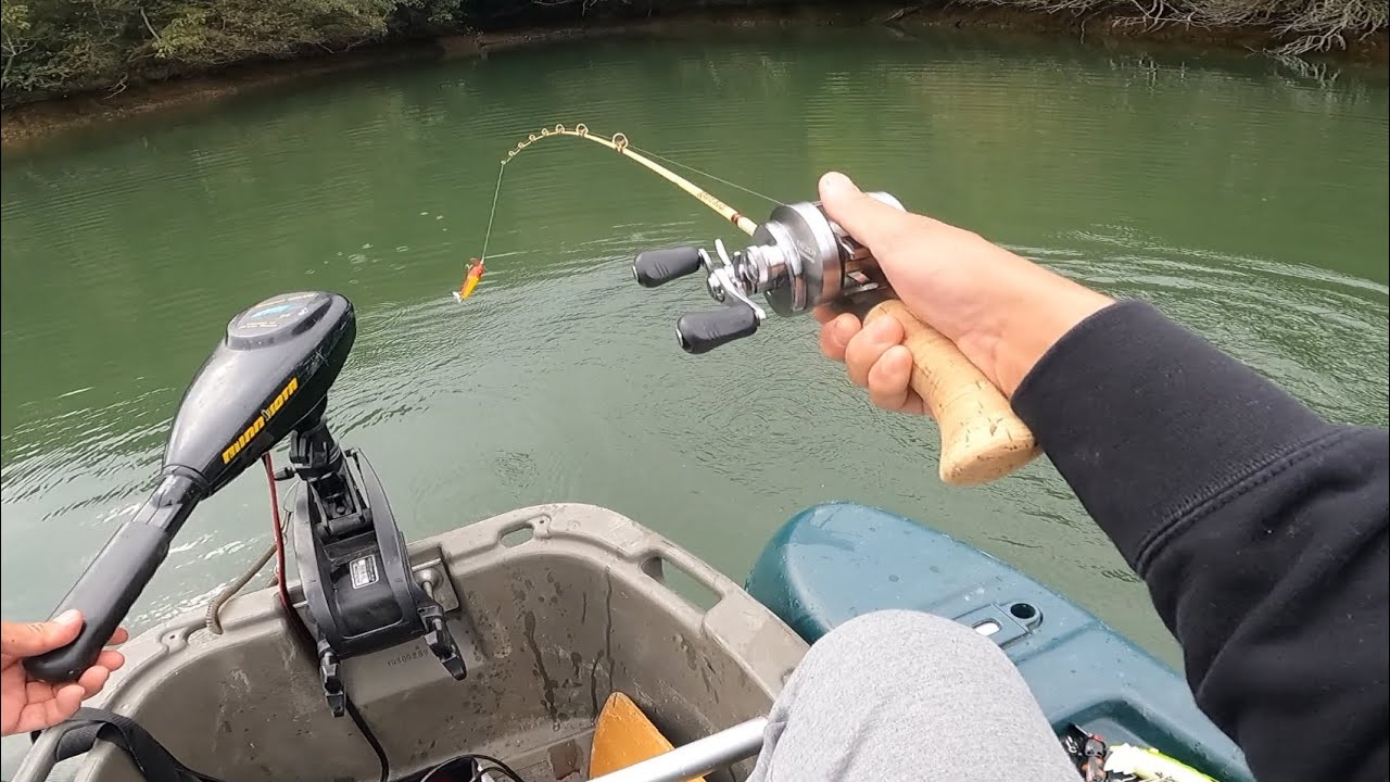 【bass fishing】野池でフロートボート/バス釣り　#トップウォーター　#バス釣り　#ボートフィッシング