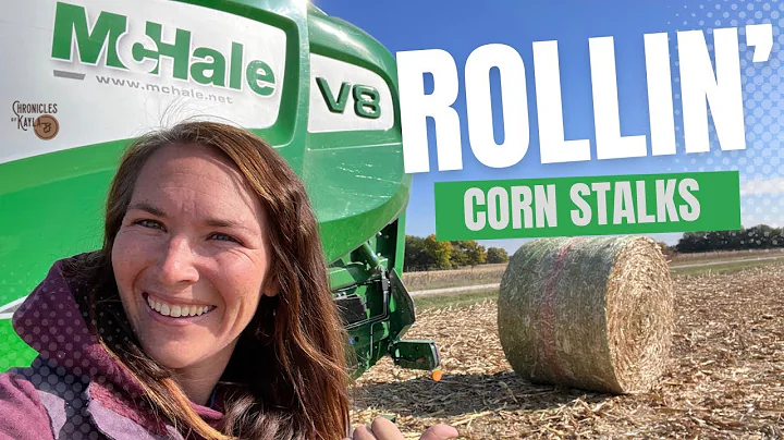 Rolling Corn Stalk Bales with a McHale Baler at Sp...