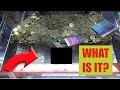 PLAYING EVERY COIN PUSHER IN LAS VEGAS!! - YouTube