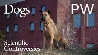 The Inner Life of Dogs | Scientific Controversies