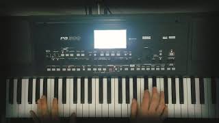 Нэнси - Чистый лист на синтезаторе KORG PA300 (Демонстрация стиля)