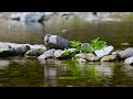 RELAXING RIVER SOUNDS: The perfect way to wind down before bed