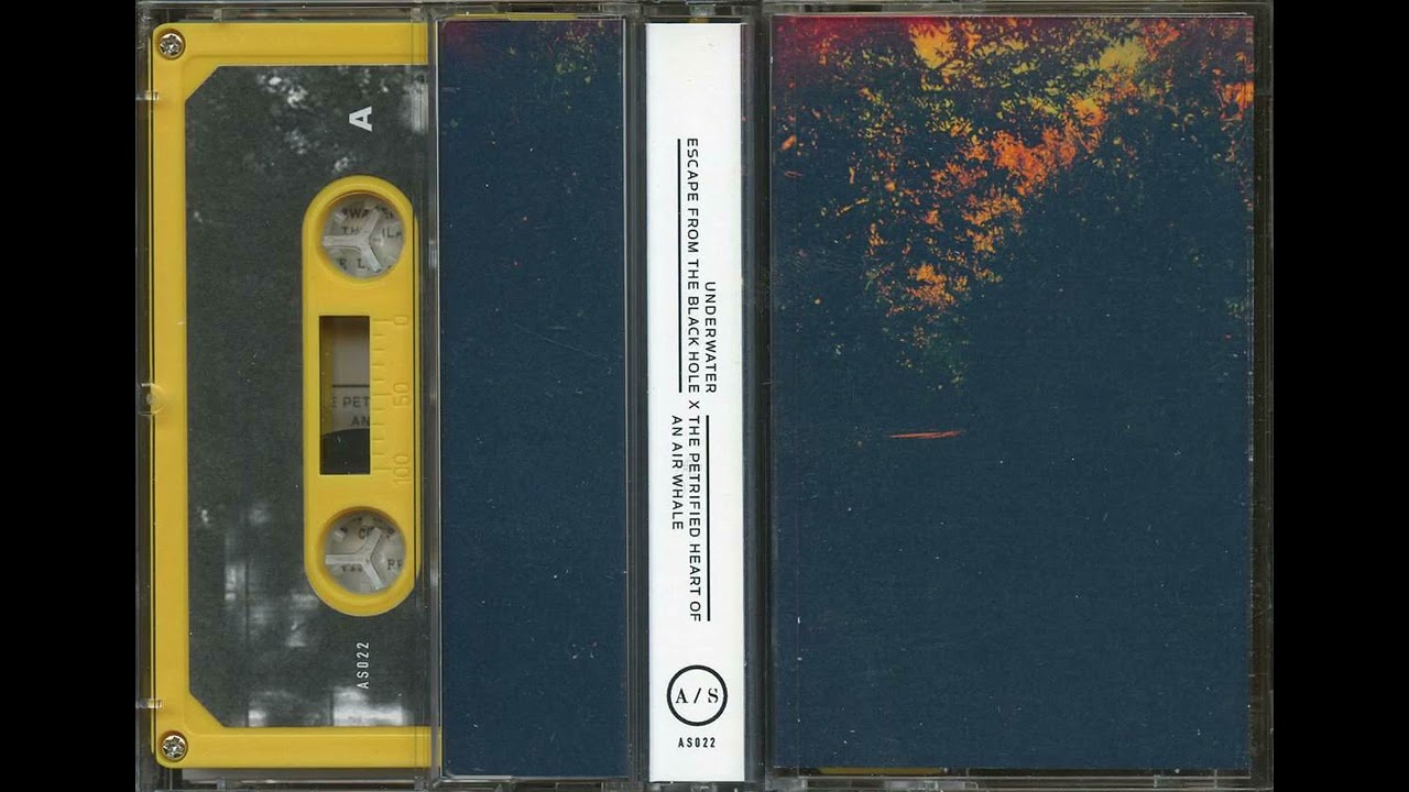 The Petrified Heart Of An Air Whale - Adhesive Sounds Split Tracks