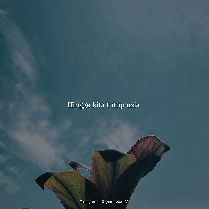 Story wa || Terima kasih - Didik Budi ft Cindy Cintya #shorts #short #shortbeta
