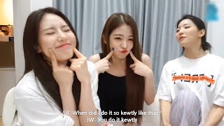 fromis_9 (프로미스나인) Imitating Each Other #5