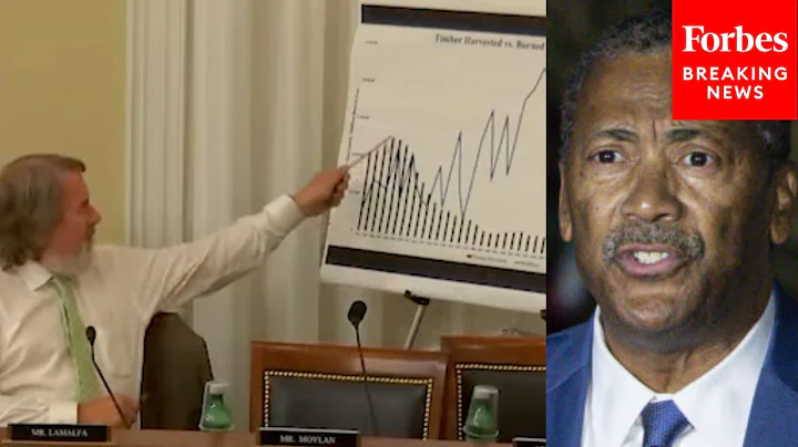 'I'm Not Trying To Be Mean Here...': Doug LaMalfa Grills Forest Service Chief On Management Policy