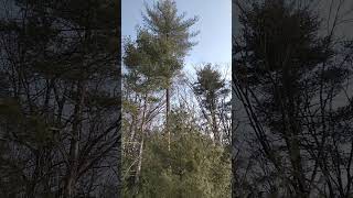 On A Clear Snow And Sunny Bright Day.