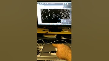 Leap Motion / Processing test