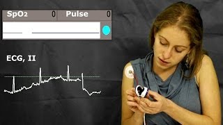 ECG or pulse-oxymeter? is the best choice for heart rate detection? YouTube