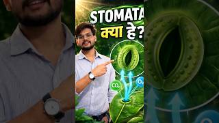 Stomata क्या होते हैं? 1 मिनट में पूरा concept clear! ⚡