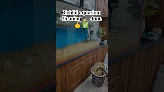 "4 Feet Cichlid Aquarium Deep Cleaning 🐟 | Tank Refresh Service ✨"#shorts