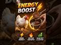 👉 🐔 பிராய்லர் கோழிக்கு பனவெல்லம் 😱⚡ Broiler Weakஆ? இதை குடுங்க! #shortsfeed#poultryfarming