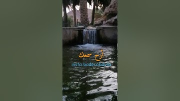 سورة التكاثر - سعيد الخطيب