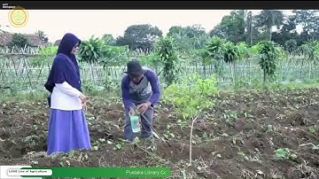 Live of Agriculture Virtual Literacy "LOVE"-  Tindak lanjut Pengalihan Penyuluh ke Pusat