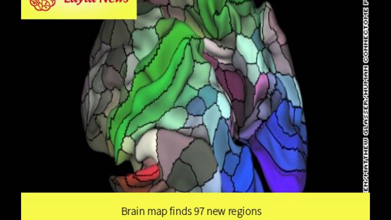 Brain map finds 97 new regions | By : CNN - YouTube