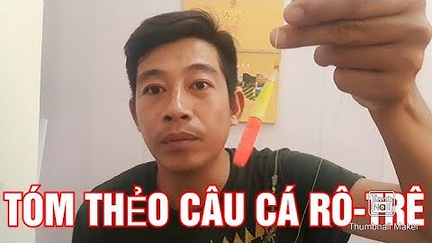 HƯỚNG DẪN TÓM THẺO CÂU CÁ RÔ- CÁ TRÊ CHO NHỮNG BẠN MỚI VÀO NGHỀ/GIANG NGO CAU CA GIAI TRI