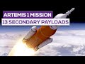Artemis 1 Mission: 13 Secondary Payloads On Board!