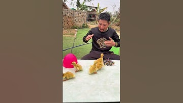 The Surprising Secret Inside! You Won’t Believe This Discovery #surprisingsecret#unexpecteddiscovery