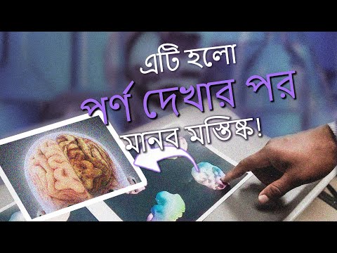 পর্ণগ্রাফি যেভাবে আপনার ভবিষ্যত জীবনের উপর প্রভাব ফেলে! @iamLucid