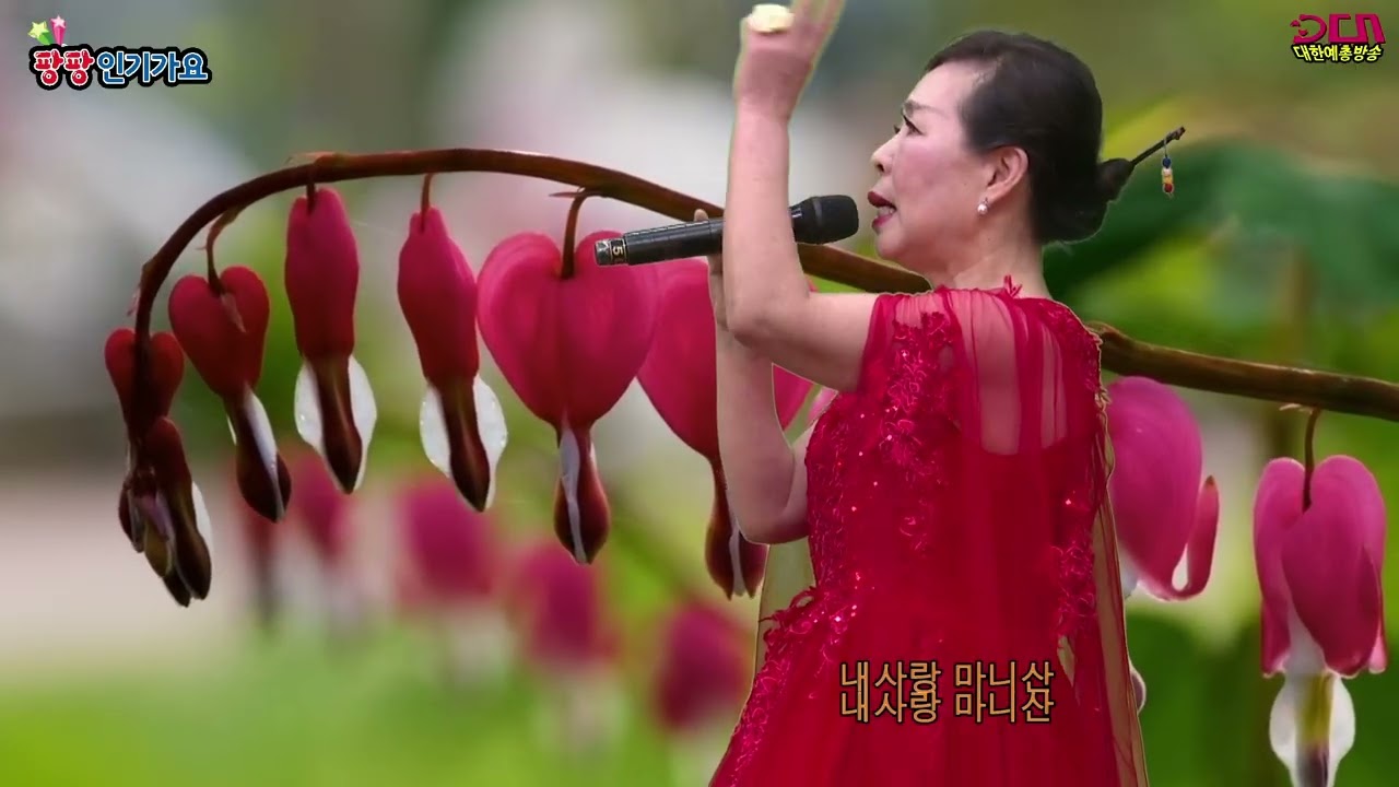 가수 오선장 내사랑 마니산 전국가수연합회 2026년 4월행사,대한예총TV (대한예총,DCN방송센터)