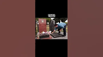 REST IN PEACE Pele Michaeljackson Brucelee Llj Foryou Sad Rip Fyp Shorts 