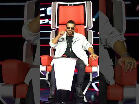 هون بتبل ش القصة