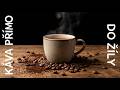 Káva přímo do žíly ☕ | Pop Rock [Oficiální video]
