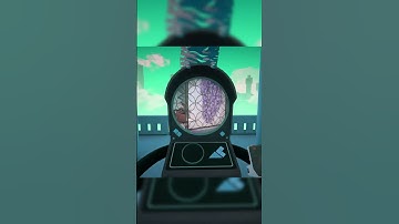 Viewfinder Game Is It Worth It