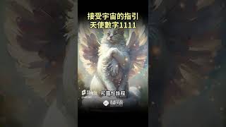 接受宇宙的指引：天使數字1111的神秘力量 Accepting Cosmic Guidance   Angel Number 1111 #shorts